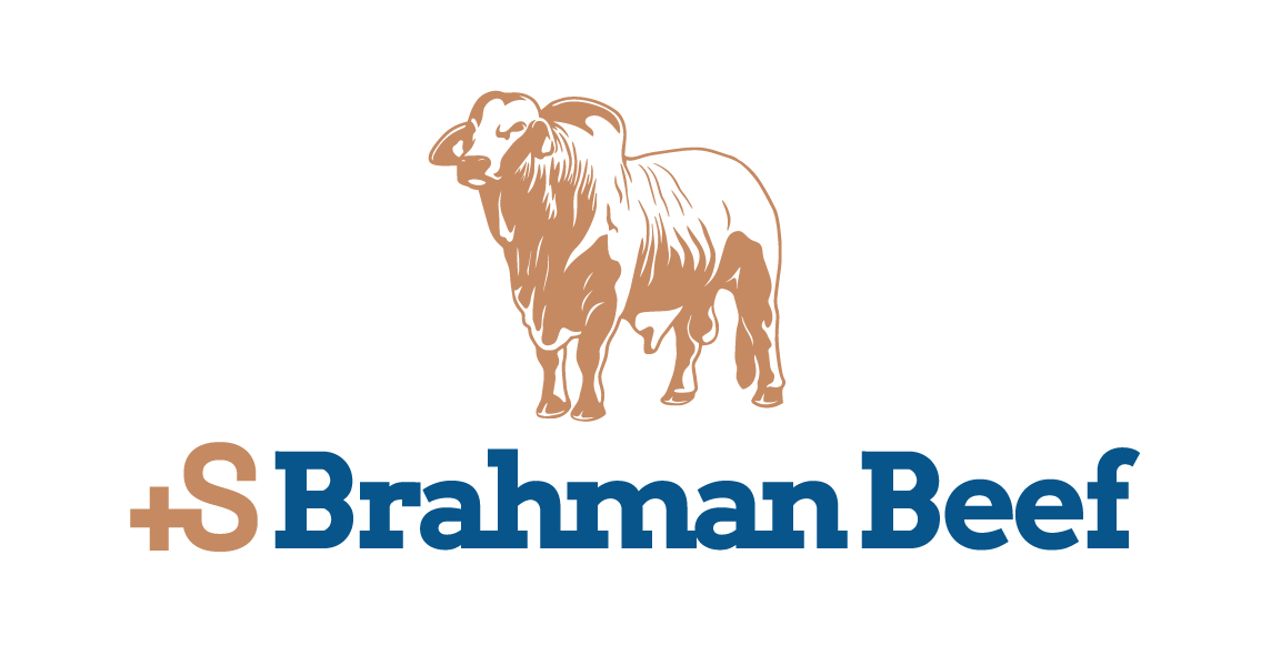 Brahman Beef, the highest quality beef raised in Texas