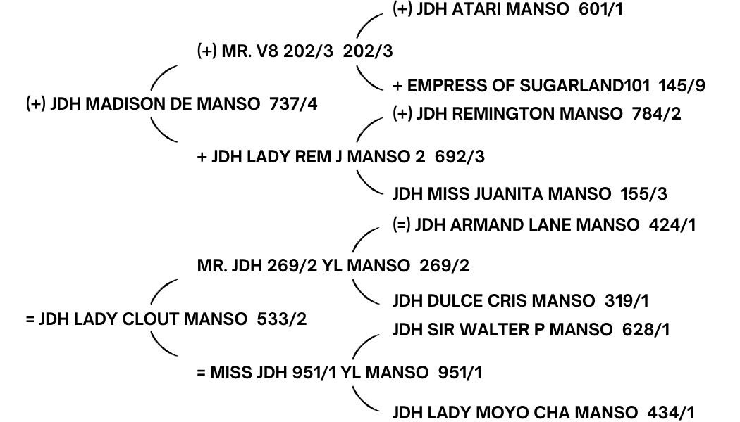 JDH-CARLOS-MANSO-534_3. three-generation pedigree includes six (6) Register of Renown animals and three (3) Maternal Merit cows