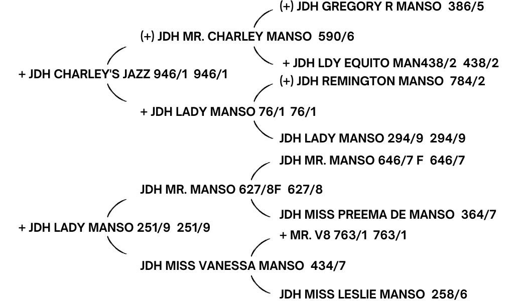 JDH MR MANSO 317_3. deep-flanked and well-muscled conformation.