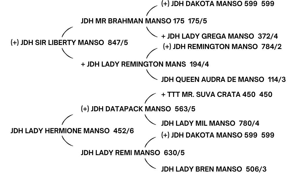 JDH-SIR-ANGWIN-MANSO-141_7. This bull combines the beef and refinement necessary in a pure bred seed stock operation and needed in the beef industry.